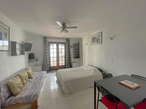 Studio rénové pour 3, proche centre, 400m mer, balcon, cuisine équipée, animaux admis - FR-1-475-50